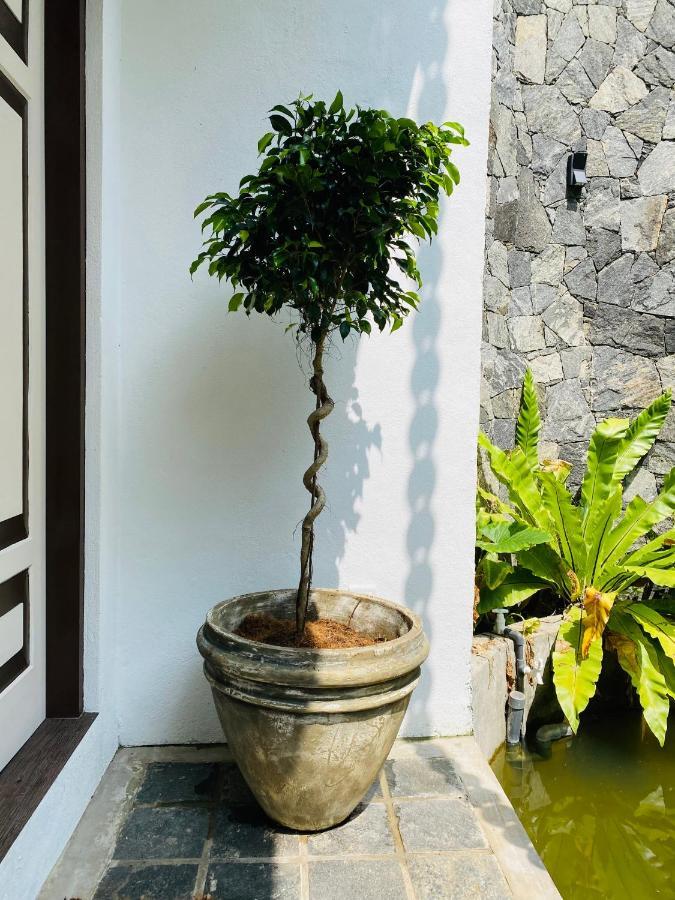 Thaprobana Villa Tangalle - Private Villa Kültér fotó