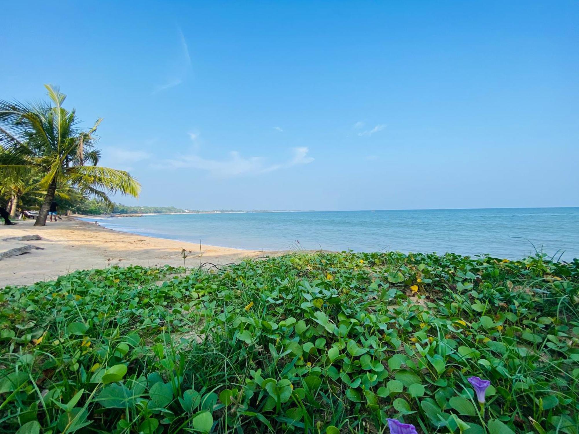 Thaprobana Villa Tangalle - Private Villa Kültér fotó